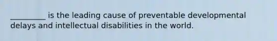 _________ is the leading cause of preventable developmental delays and intellectual disabilities in the world.