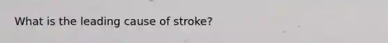 What is the leading cause of stroke?