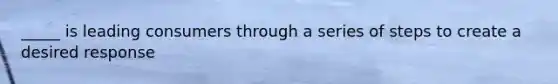 _____ is leading consumers through a series of steps to create a desired response