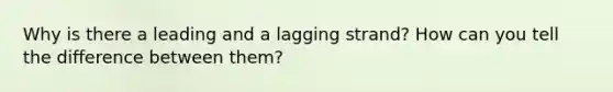 Why is there a leading and a lagging strand? How can you tell the difference between them?