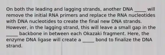 On both the leading and lagging strands, another DNA _____ will remove the initial RNA primers and replace the RNA nucleotides with DNA nucleotides to create the final new DNA strands. However, in the lagging strand, this will leave a small gap in the _____ backbone in between each Okazaki fragment. Here, the enzyme DNA ligase will create a _____ bond to finalize the DNA strand.