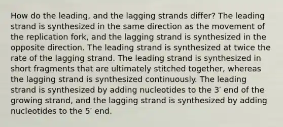 How do the leading, and the lagging strands differ? The leading strand is synthesized in the same direction as the movement of the replication fork, and the lagging strand is synthesized in the opposite direction. The leading strand is synthesized at twice the rate of the lagging strand. The leading strand is synthesized in short fragments that are ultimately stitched together, whereas the lagging strand is synthesized continuously. The leading strand is synthesized by adding nucleotides to the 3′ end of the growing strand, and the lagging strand is synthesized by adding nucleotides to the 5′ end.