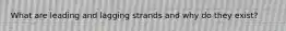 What are leading and lagging strands and why do they exist?