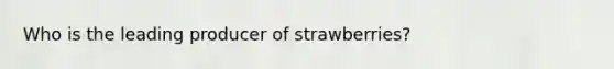 Who is the leading producer of strawberries?