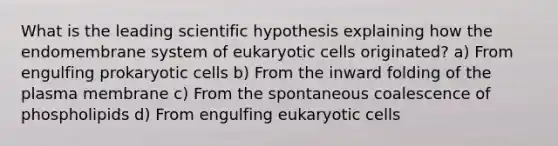 What is the leading scientific hypothesis explaining how the endomembrane system of eukaryotic cells originated? a) From engulfing prokaryotic cells b) From the inward folding of the plasma membrane c) From the spontaneous coalescence of phospholipids d) From engulfing eukaryotic cells