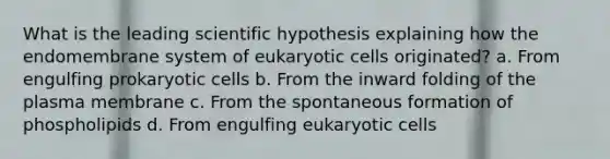 What is the leading scientific hypothesis explaining how the endomembrane system of <a href='https://www.questionai.com/knowledge/kb526cpm6R-eukaryotic-cells' class='anchor-knowledge'>eukaryotic cells</a> originated? a. From engulfing <a href='https://www.questionai.com/knowledge/k1BuXhIsgo-prokaryotic-cells' class='anchor-knowledge'>prokaryotic cells</a> b. From the inward folding of the plasma membrane c. From the spontaneous formation of phospholipids d. From engulfing eukaryotic cells