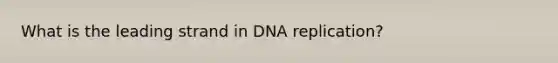 What is the leading strand in DNA replication?