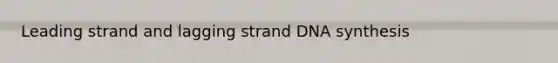 Leading strand and lagging strand DNA synthesis