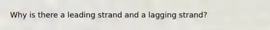 Why is there a leading strand and a lagging strand?