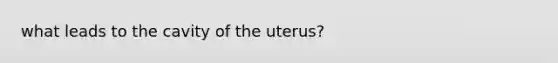 what leads to the cavity of the uterus?