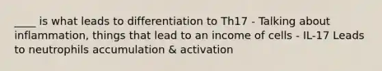 ____ is what leads to differentiation to Th17 - Talking about inflammation, things that lead to an income of cells - IL-17 Leads to neutrophils accumulation & activation