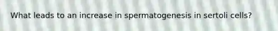 What leads to an increase in spermatogenesis in sertoli cells?