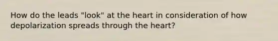 How do the leads "look" at the heart in consideration of how depolarization spreads through the heart?