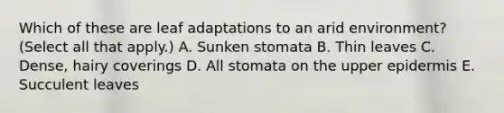 Which of these are leaf adaptations to an arid environment? (Select all that apply.) A. Sunken stomata B. Thin leaves C. Dense, hairy coverings D. All stomata on the upper epidermis E. Succulent leaves