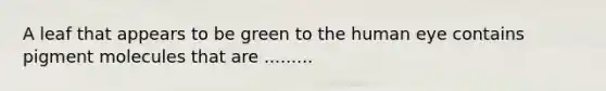 A leaf that appears to be green to the human eye contains pigment molecules that are .........