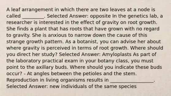 A leaf arrangement in which there are two leaves at a node is called _________. Selected Answer: opposite In the genetics lab, a researcher is interested in the effect of gravity on root growth. She finds a plant that has roots that have grown with no regard to gravity. She is anxious to narrow down the cause of this strange growth pattern. As a botanist, you can advise her about where gravity is perceived in terms of root growth. Where should you direct her study? Selected Answer: Amyloplasts As part of the laboratory practical exam in your botany class, you must point to the axillary buds. Where should you indicate these buds occur? - At angles between the petioles and the stem. Reproduction in living organisms results in __________________. Selected Answer: new individuals of the same species