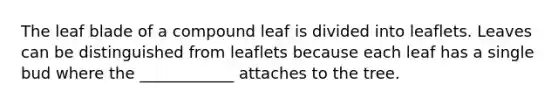 The leaf blade of a compound leaf is divided into leaflets. Leaves can be distinguished from leaflets because each leaf has a single bud where the ____________ attaches to the tree.