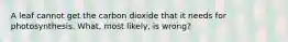 A leaf cannot get the carbon dioxide that it needs for photosynthesis. What, most likely, is wrong?