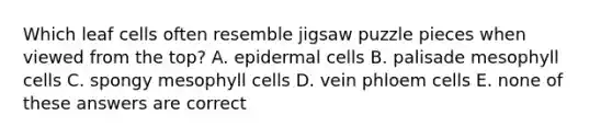 Which leaf cells often resemble jigsaw puzzle pieces when viewed from the top? A. epidermal cells B. palisade mesophyll cells C. spongy mesophyll cells D. vein phloem cells E. none of these answers are correct