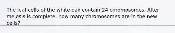 The leaf cells of the white oak contain 24 chromosomes. After meiosis is complete, how many chromosomes are in the new cells?