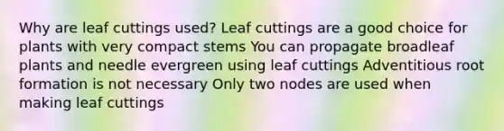 Why are leaf cuttings used? Leaf cuttings are a good choice for plants with very compact stems You can propagate broadleaf plants and needle evergreen using leaf cuttings Adventitious root formation is not necessary Only two nodes are used when making leaf cuttings