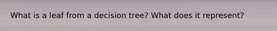 What is a leaf from a decision tree? What does it represent?