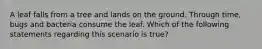 A leaf falls from a tree and lands on the ground. Through time, bugs and bacteria consume the leaf. Which of the following statements regarding this scenario is true?