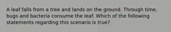 A leaf falls from a tree and lands on the ground. Through time, bugs and bacteria consume the leaf. Which of the following statements regarding this scenario is true?