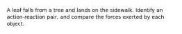 A leaf falls from a tree and lands on the sidewalk. Identify an action-reaction pair, and compare the forces exerted by each object.