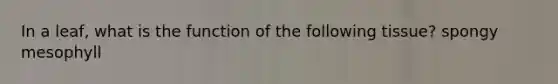 In a leaf, what is the function of the following tissue? spongy mesophyll