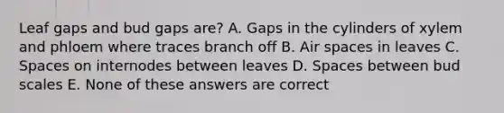 Leaf gaps and bud gaps are? A. Gaps in the cylinders of xylem and phloem where traces branch off B. Air spaces in leaves C. Spaces on internodes between leaves D. Spaces between bud scales E. None of these answers are correct