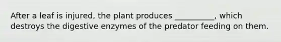 After a leaf is injured, the plant produces __________, which destroys the <a href='https://www.questionai.com/knowledge/kK14poSlmL-digestive-enzymes' class='anchor-knowledge'>digestive enzymes</a> of the predator feeding on them.