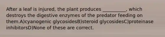 After a leaf is injured, the plant produces __________, which destroys the digestive enzymes of the predator feeding on them.A)cyanogenic glycosidesB)steroid glycosidesC)proteinase inhibitorsD)None of these are correct.