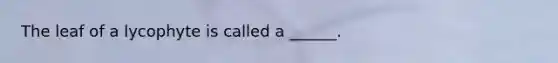 The leaf of a lycophyte is called a ______.