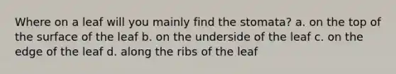 Where on a leaf will you mainly find the stomata? a. on the top of the surface of the leaf b. on the underside of the leaf c. on the edge of the leaf d. along the ribs of the leaf