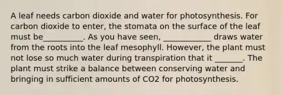 A leaf needs carbon dioxide and water for photosynthesis. For carbon dioxide to enter, the stomata on the surface of the leaf must be__________. As you have seen, ____________ draws water from the roots into the leaf mesophyll. However, the plant must not lose so much water during transpiration that it _______. The plant must strike a balance between conserving water and bringing in sufficient amounts of CO2 for photosynthesis.