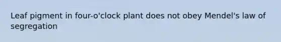 Leaf pigment in four-o'clock plant does not obey Mendel's law of segregation