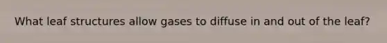 What leaf structures allow gases to diffuse in and out of the leaf?
