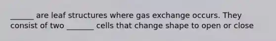 ______ are leaf structures where gas exchange occurs. They consist of two _______ cells that change shape to open or close