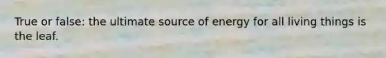 True or false: the ultimate source of energy for all living things is the leaf.