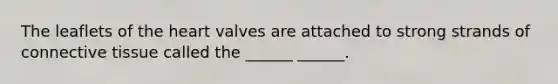 The leaflets of the heart valves are attached to strong strands of connective tissue called the ______ ______.