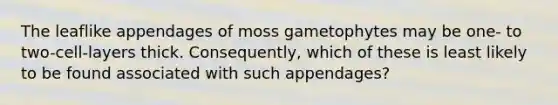 The leaflike appendages of moss gametophytes may be one- to two-cell-layers thick. Consequently, which of these is least likely to be found associated with such appendages?