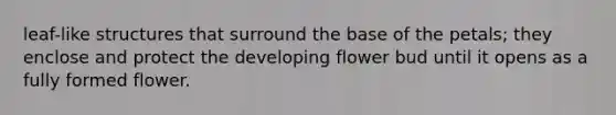 leaf-like structures that surround the base of the petals; they enclose and protect the developing flower bud until it opens as a fully formed flower.