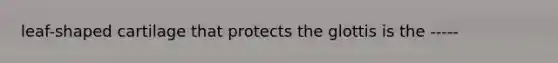 leaf-shaped cartilage that protects the glottis is the -----