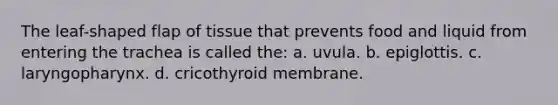 The leaf-shaped flap of tissue that prevents food and liquid from entering the trachea is called the: a. uvula. b. epiglottis. c. laryngopharynx. d. cricothyroid membrane.