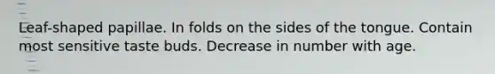 Leaf-shaped papillae. In folds on the sides of the tongue. Contain most sensitive taste buds. Decrease in number with age.