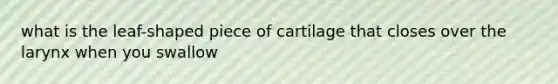 what is the leaf-shaped piece of cartilage that closes over the larynx when you swallow