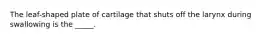 The leaf-shaped plate of cartilage that shuts off the larynx during swallowing is the _____.