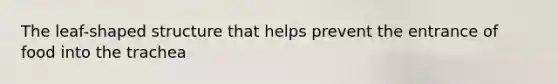 The leaf-shaped structure that helps prevent the entrance of food into the trachea