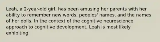 Leah, a 2-year-old girl, has been amusing her parents with her ability to remember new words, peoples' names, and the names of her dolls. In the context of the cognitive neuroscience approach to cognitive development, Leah is most likely exhibiting